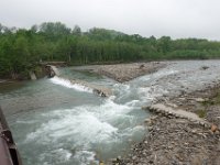 img (310)